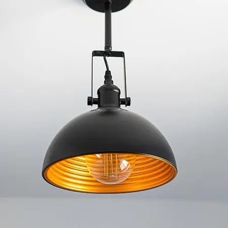 Prawn Apartment Puck